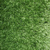 USave Flooring's 12ft x 10ft Golf Course Outdoor Carpet in Berber Carpet Flooring